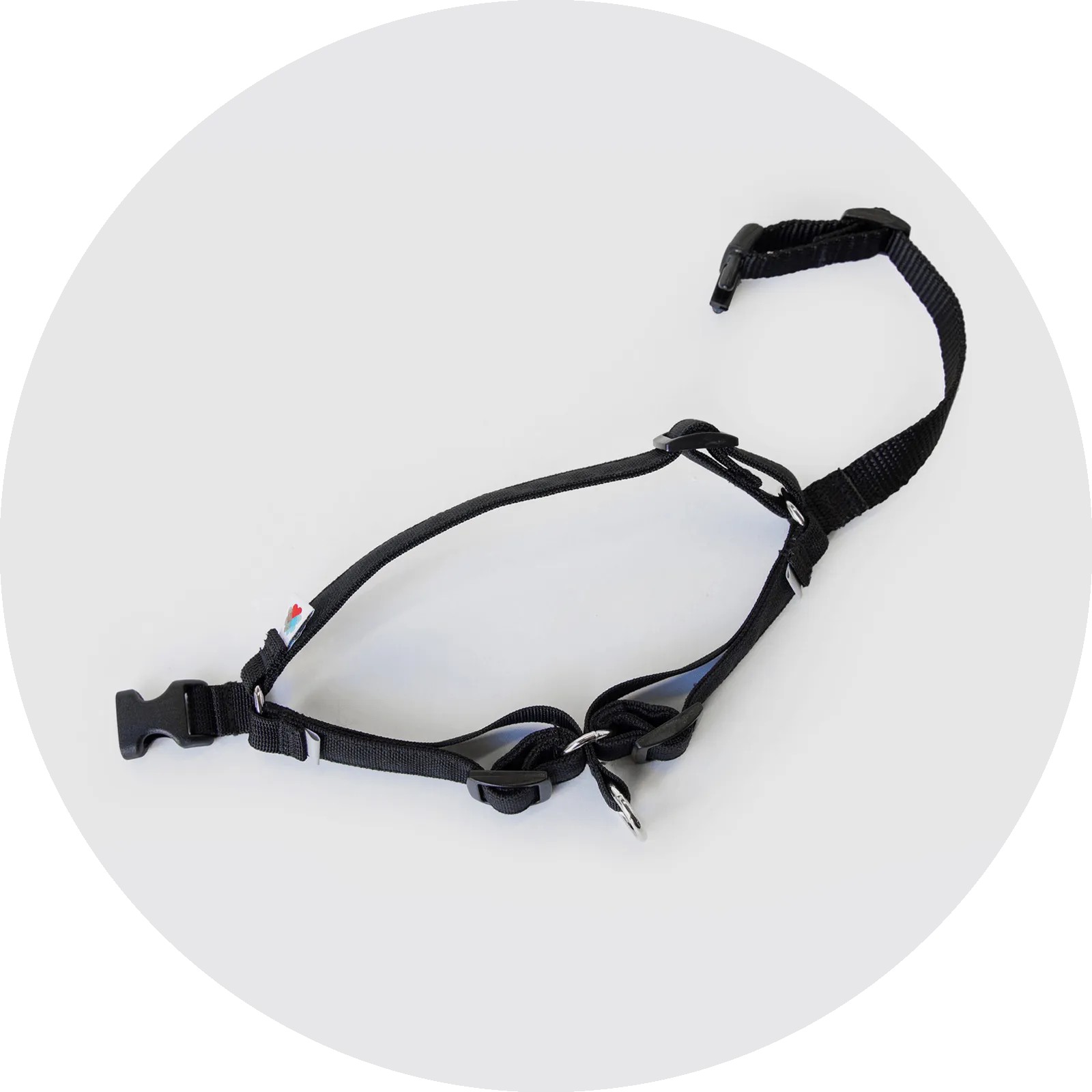 Linden No Pull Dog Harness