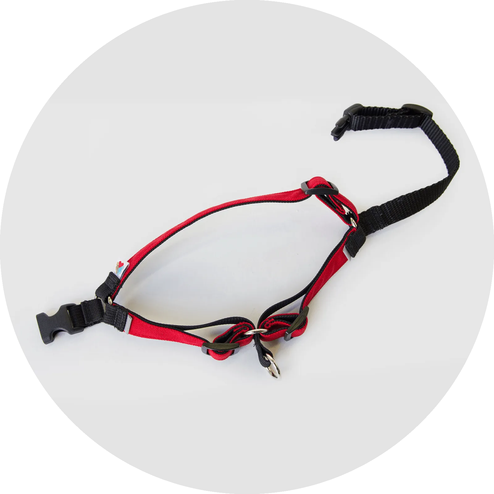 Linden No Pull Dog Harness