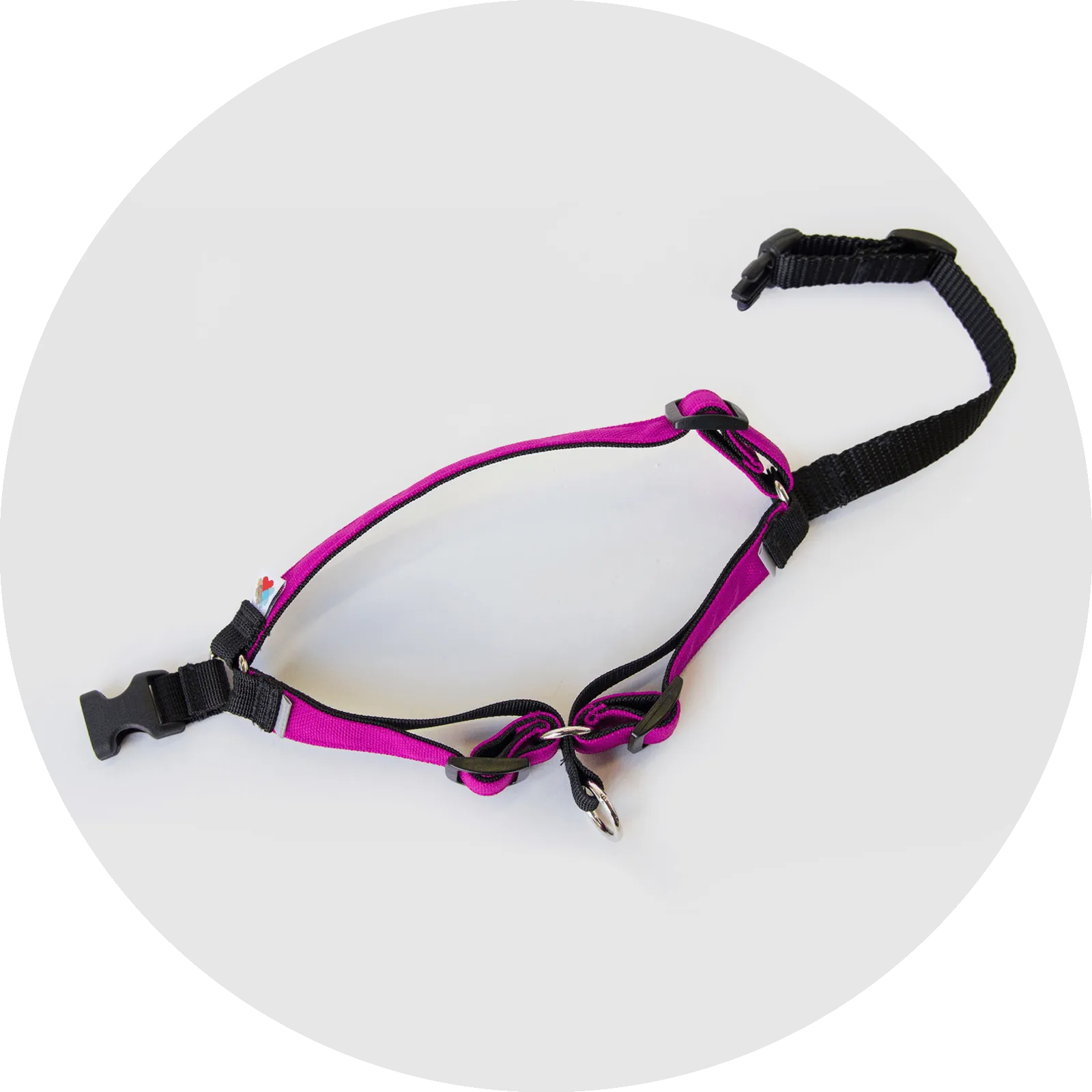 Linden No Pull Dog Harness