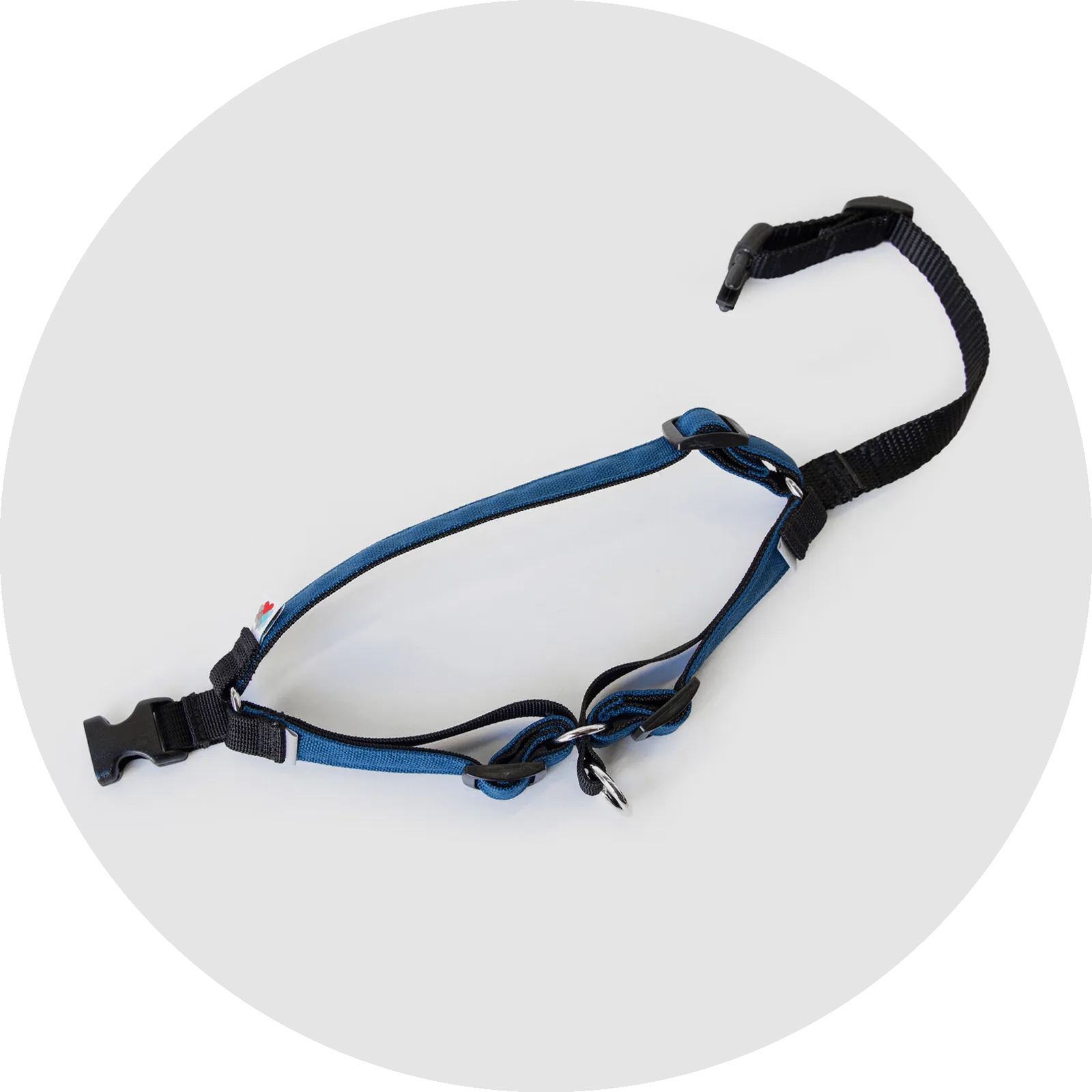 Linden No Pull Dog Harness