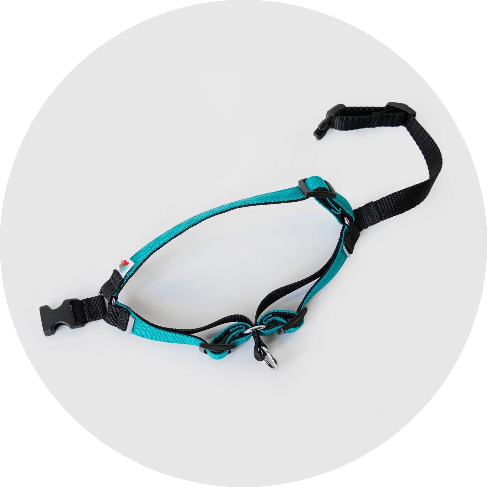 Linden No Pull Dog Harness