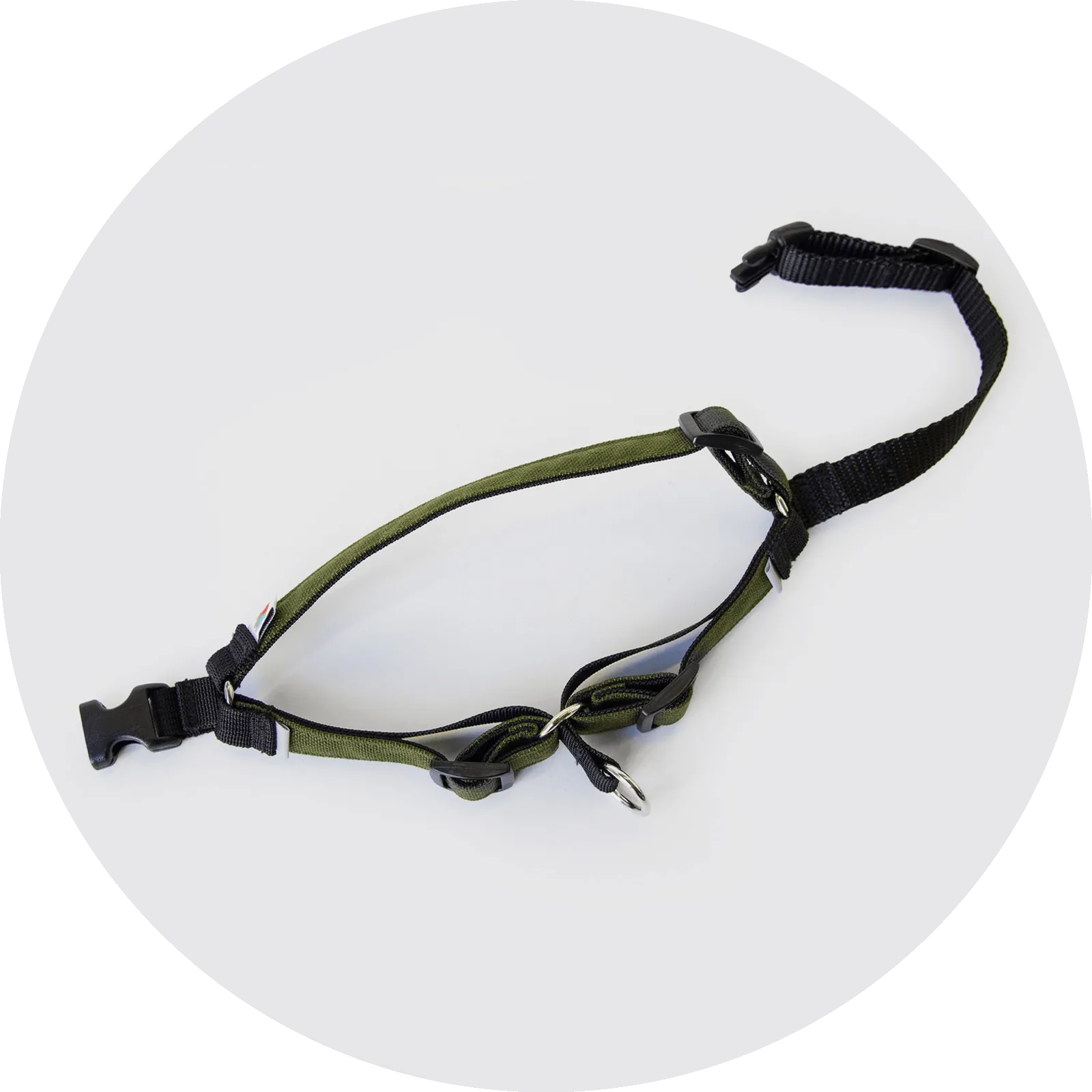 Linden No Pull Dog Harness