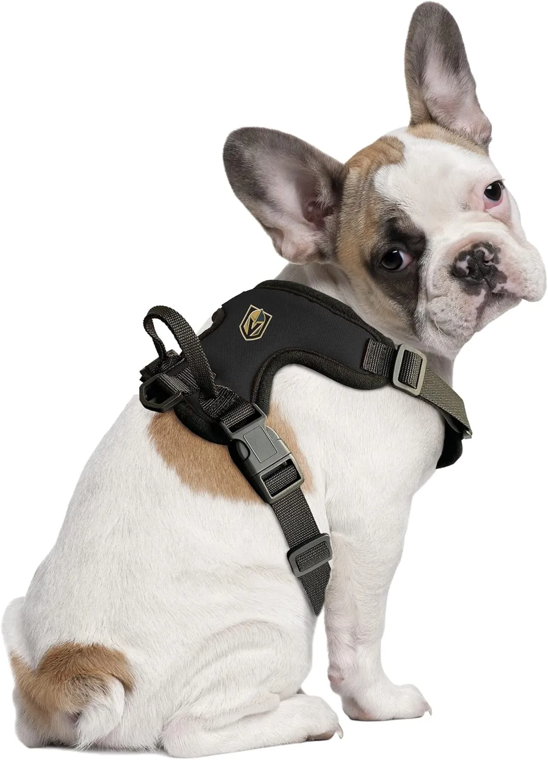 Littlearth NHL Unisex-Adult Front Clip Pet Harness
