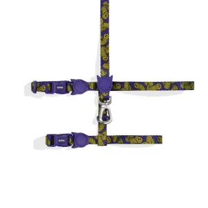 Lords Of Zee.Town Zmiley Harness   Leash Set