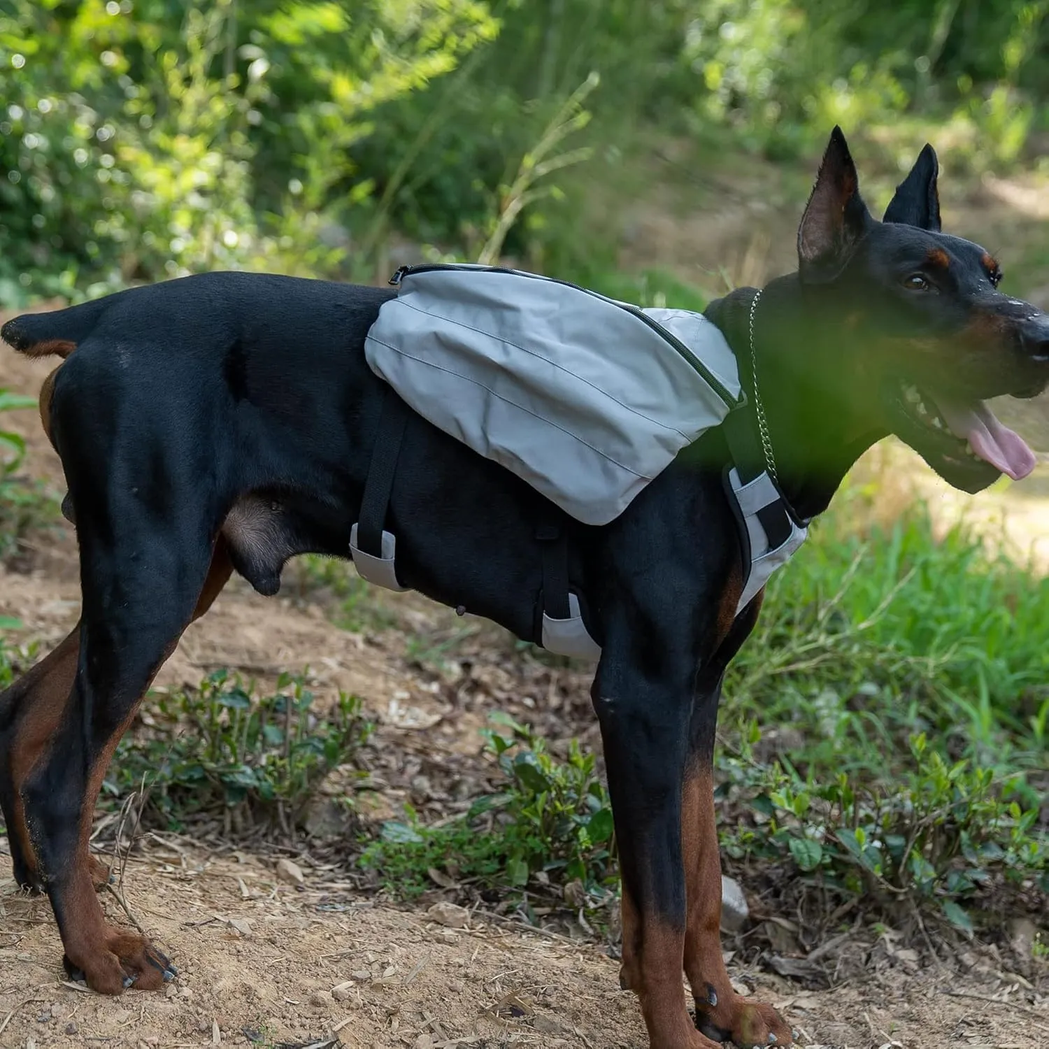 Lovelonglong Dog Backpack for Hiking, Multifunctional Dog Day Pack Zippered Travel Dog Saddle Bag Outdoor Hiking Backpack with 2 Capacious Side Pockets for Small Medium Large Dogs Gray S