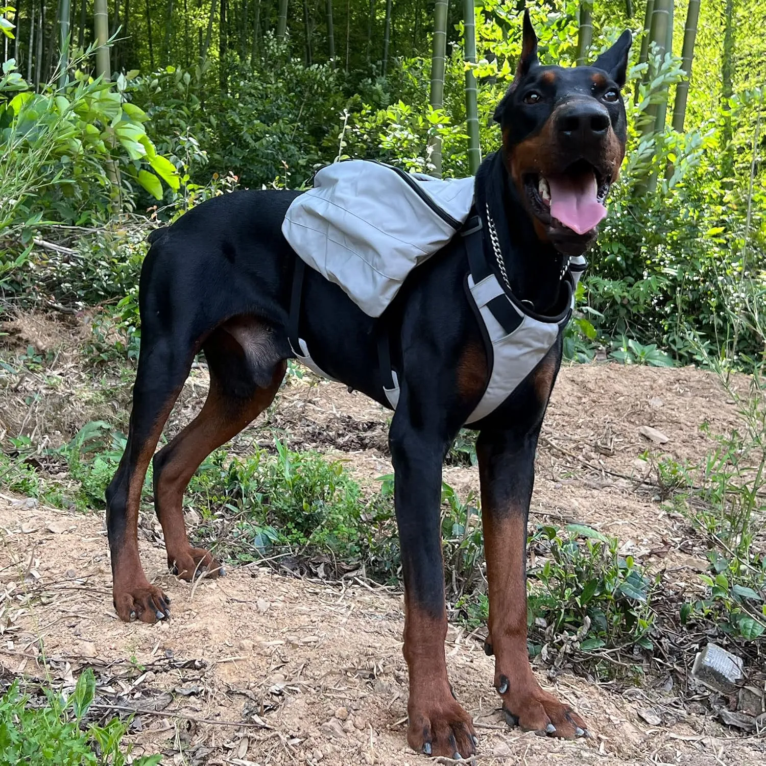 Lovelonglong Dog Backpack for Hiking, Multifunctional Dog Day Pack Zippered Travel Dog Saddle Bag Outdoor Hiking Backpack with 2 Capacious Side Pockets for Small Medium Large Dogs Gray S