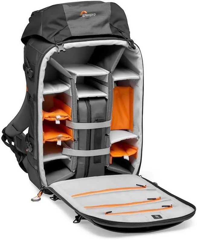 Lowepro Camera & Photo BP 550 AW II-New, Grey