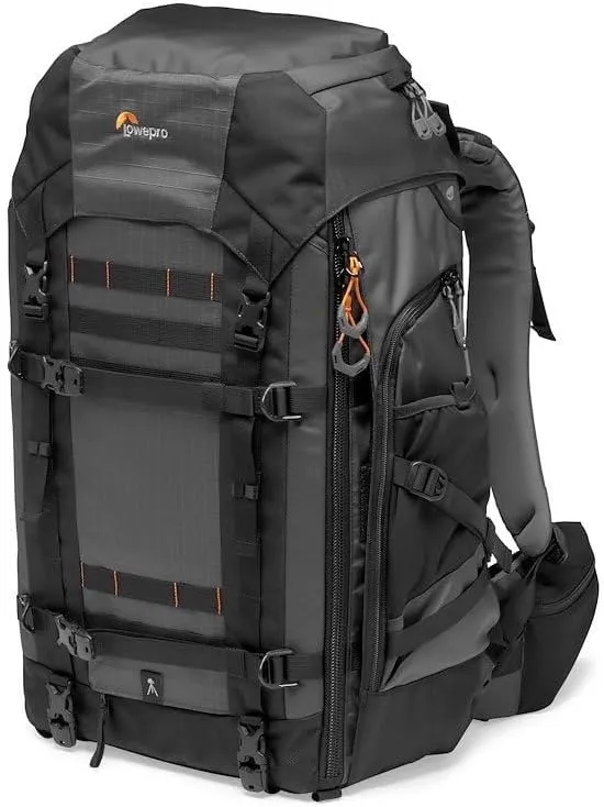 Lowepro Camera & Photo BP 550 AW II-New, Grey