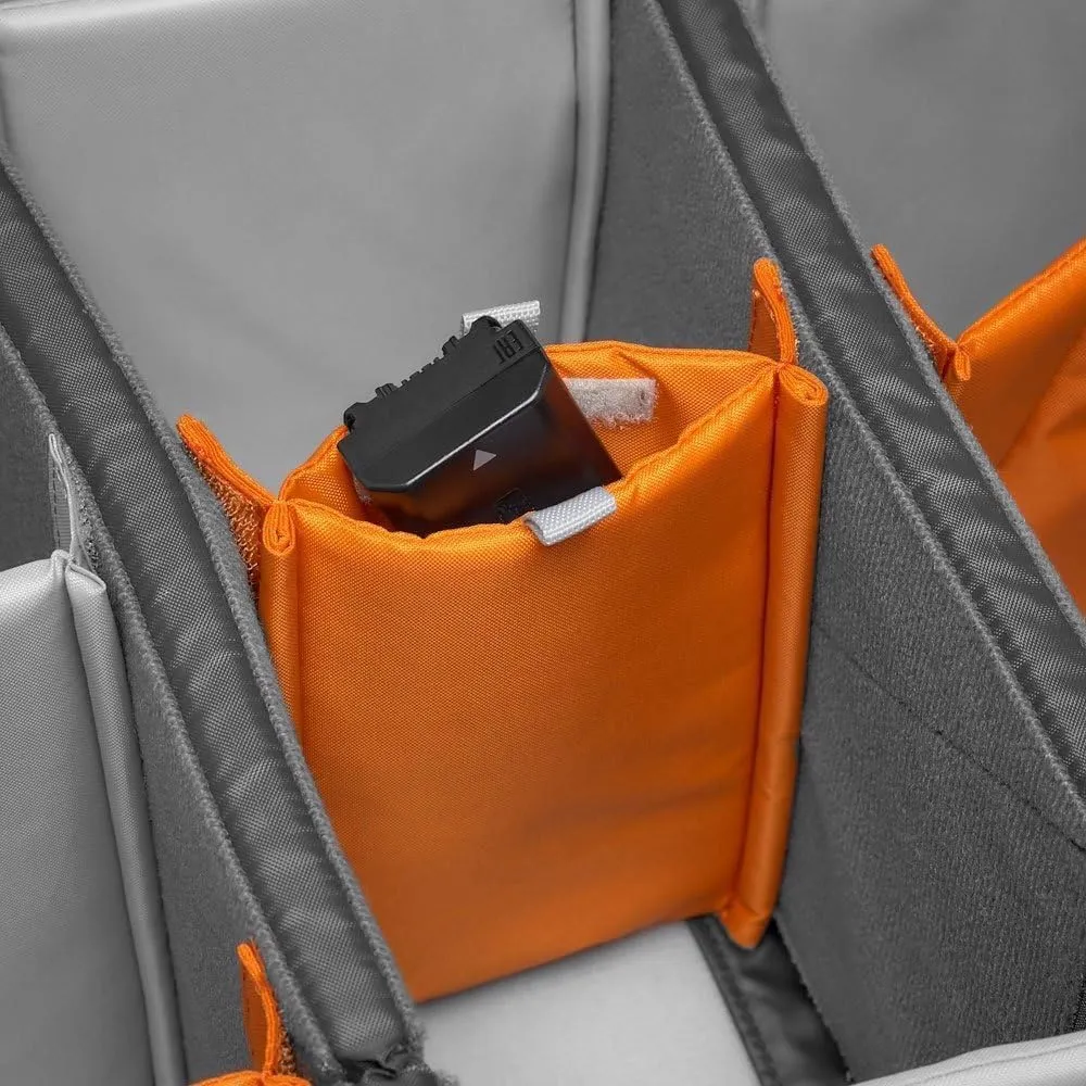 Lowepro Camera & Photo BP 550 AW II-New, Grey