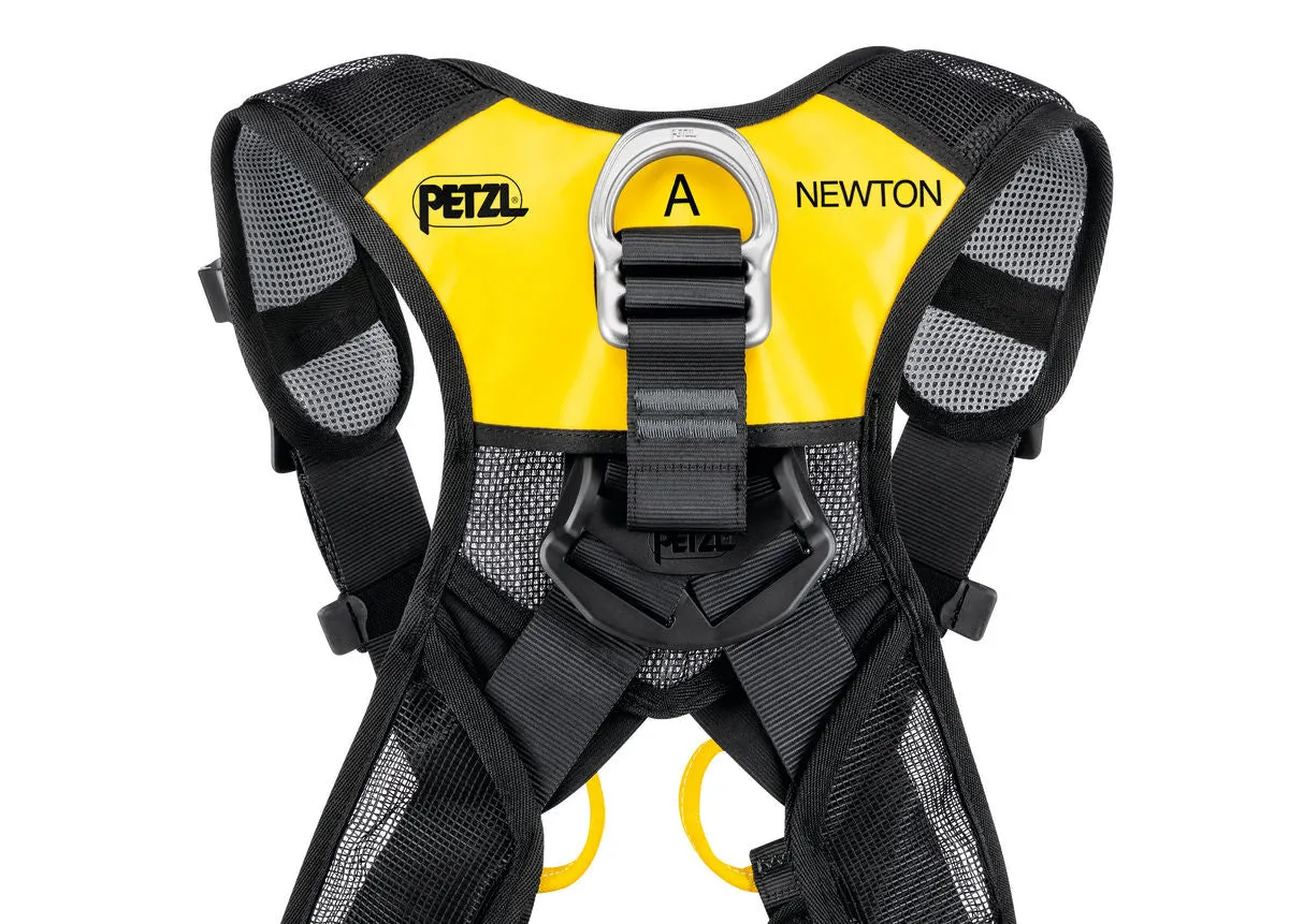 Newton EasyFIT International