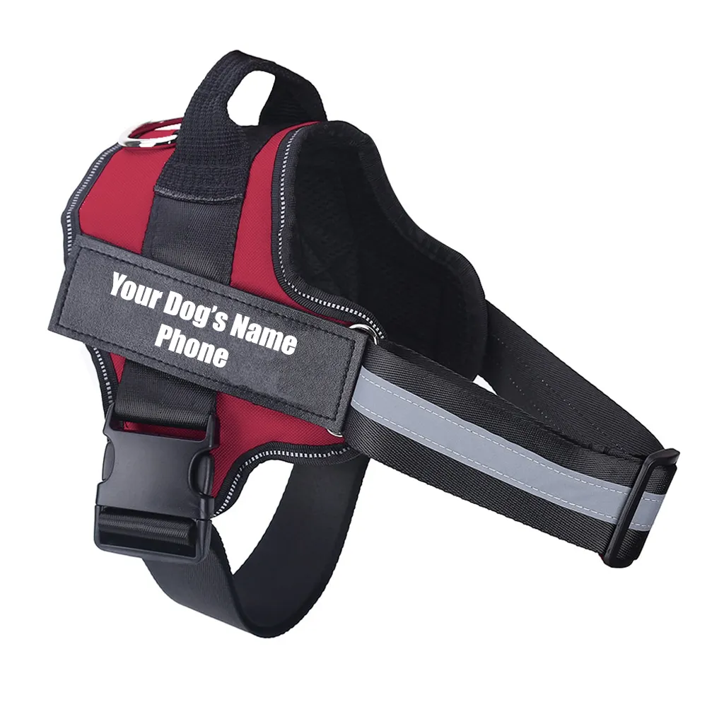 No Pull Dog Harness With Name
