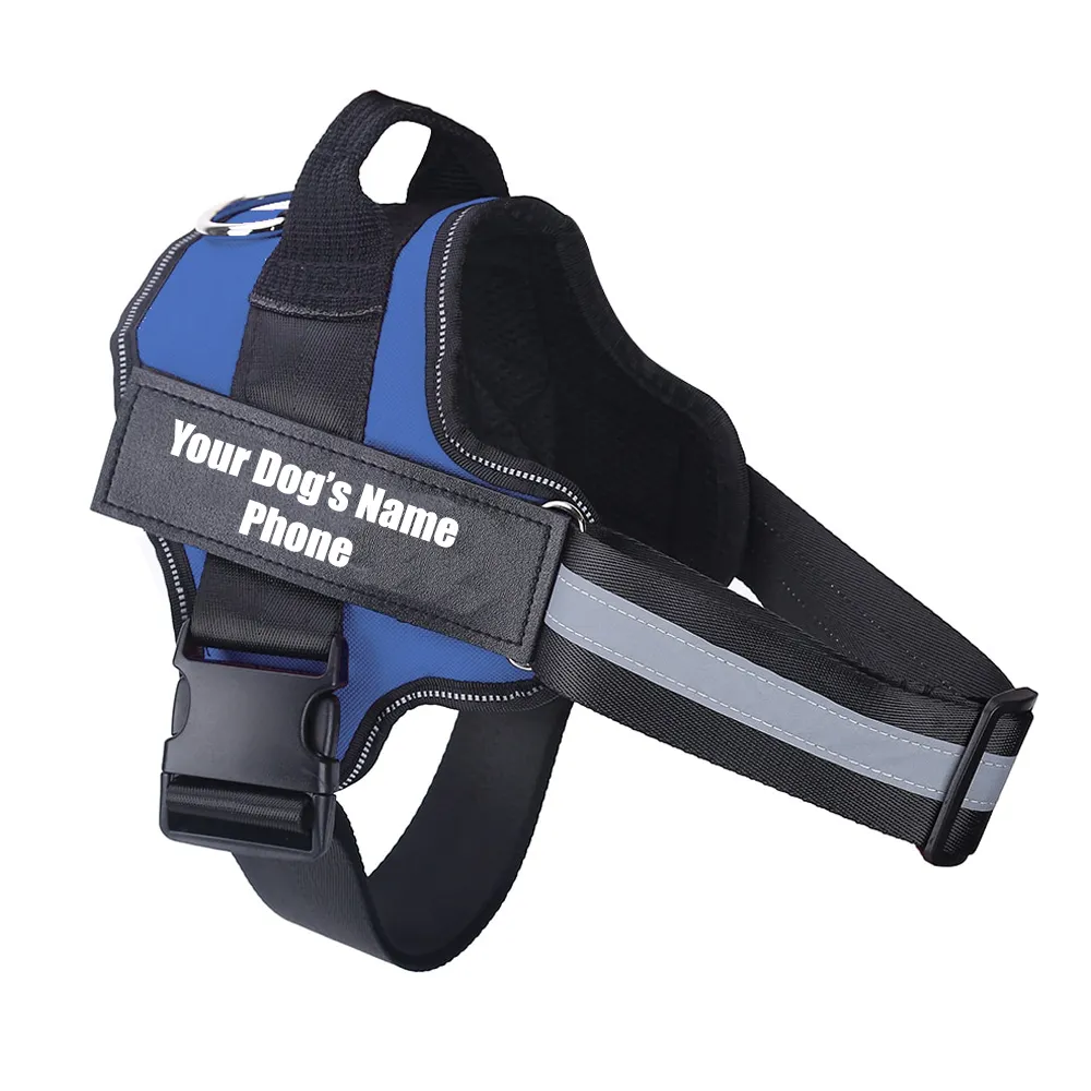 No Pull Dog Harness With Name