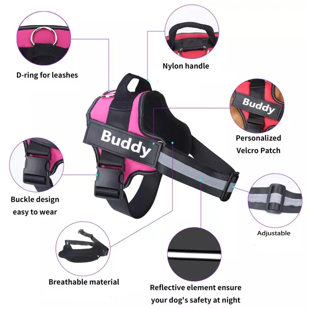 No Pull Dog Harness With Name