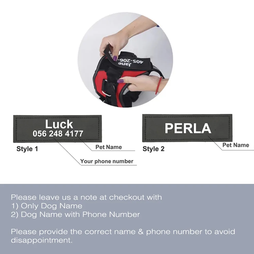 No Pull Dog Harness With Name