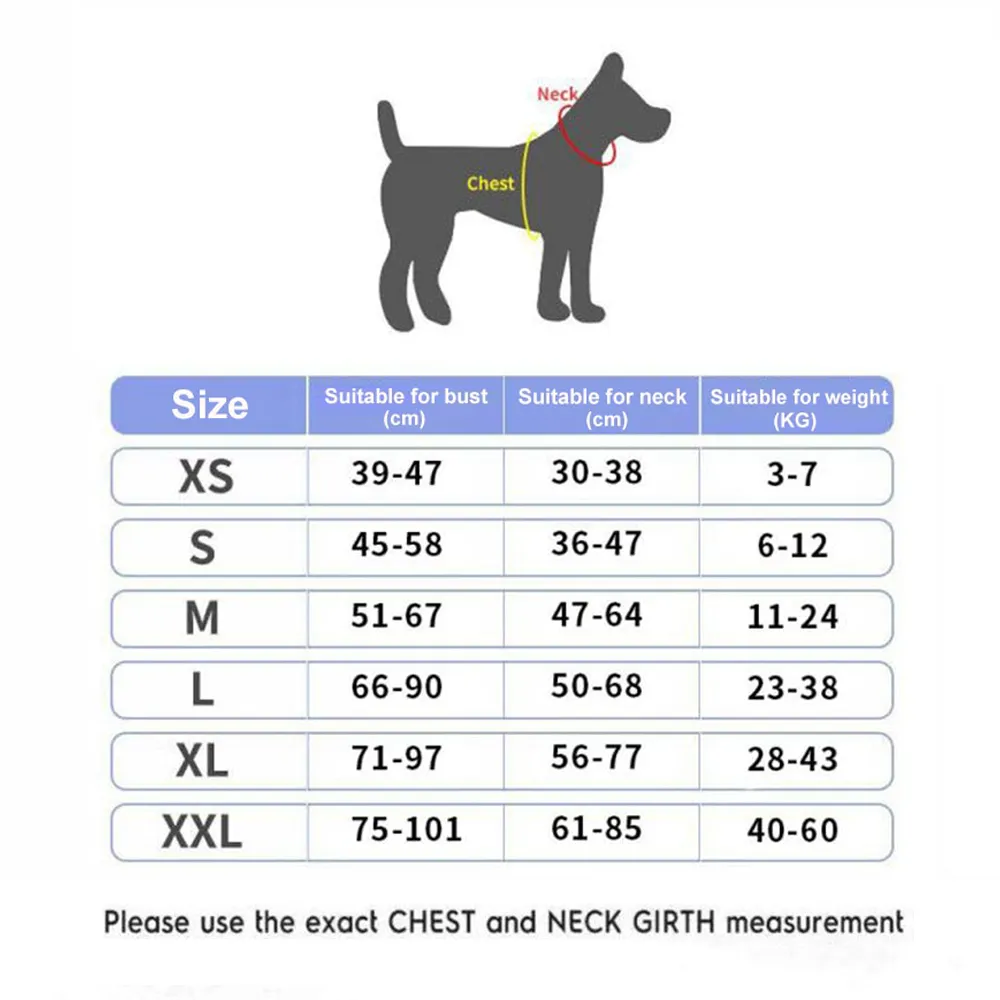No Pull Dog Harness With Name