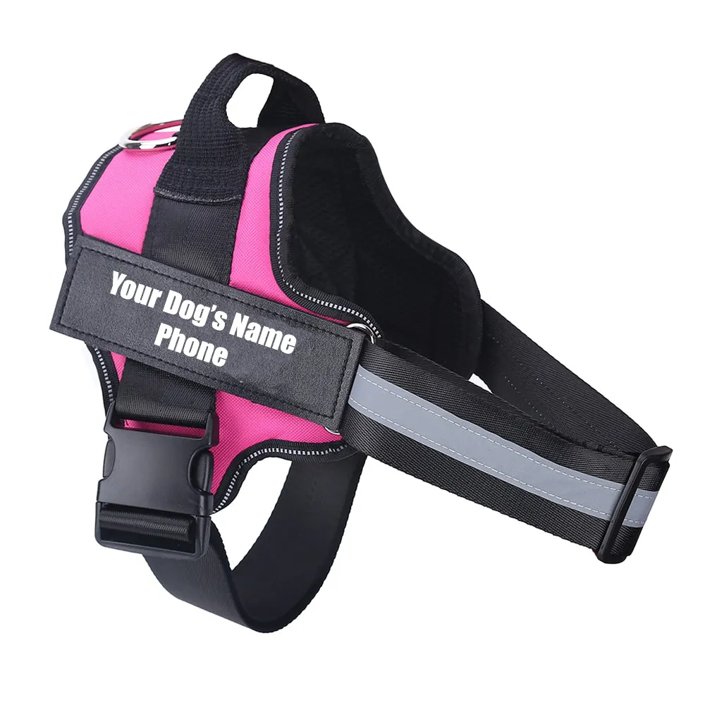 No Pull Dog Harness With Name
