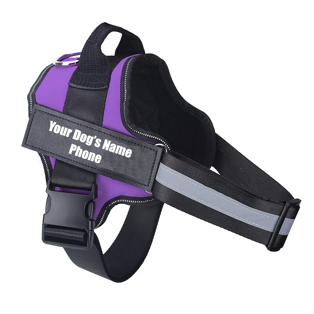 No Pull Dog Harness With Name
