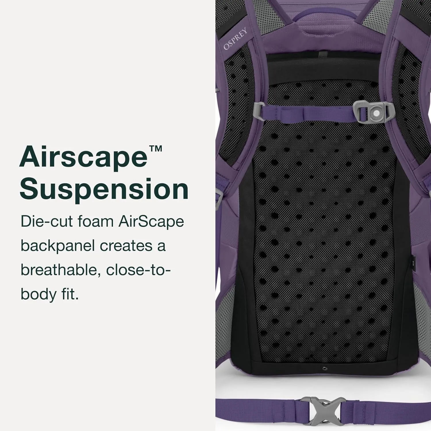 Osprey Skimmer 20L Women's Hiking Backpack with Hydraulics Reservoir, Purpurite Purple