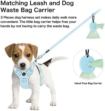 Petmolico Dog Harness for Small Dogs, Cute Harness Vest with Two Leash Clips and Soft Handle, Reflective Easy Walk Puppy Vest - Light Blue, X-Small