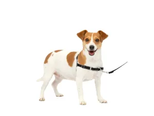 Petsafe Easy Walk Dog Harness Black Small