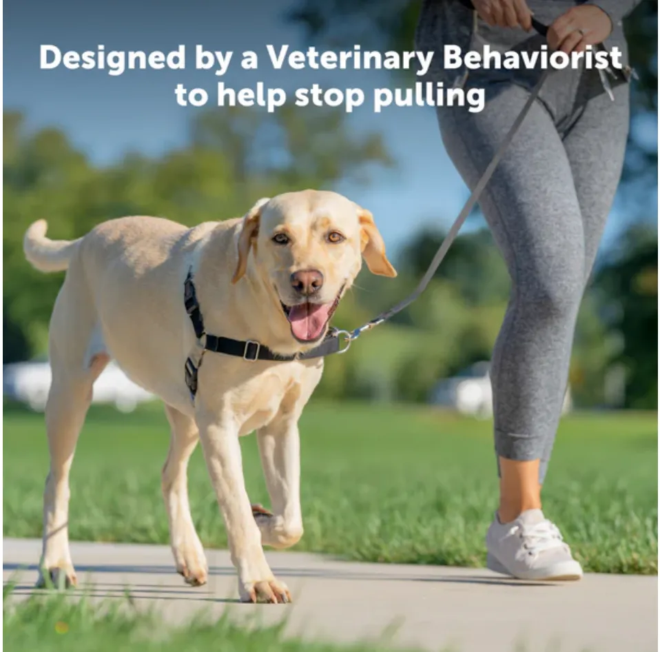 Petsafe Easy Walk Dog Harness Black Small