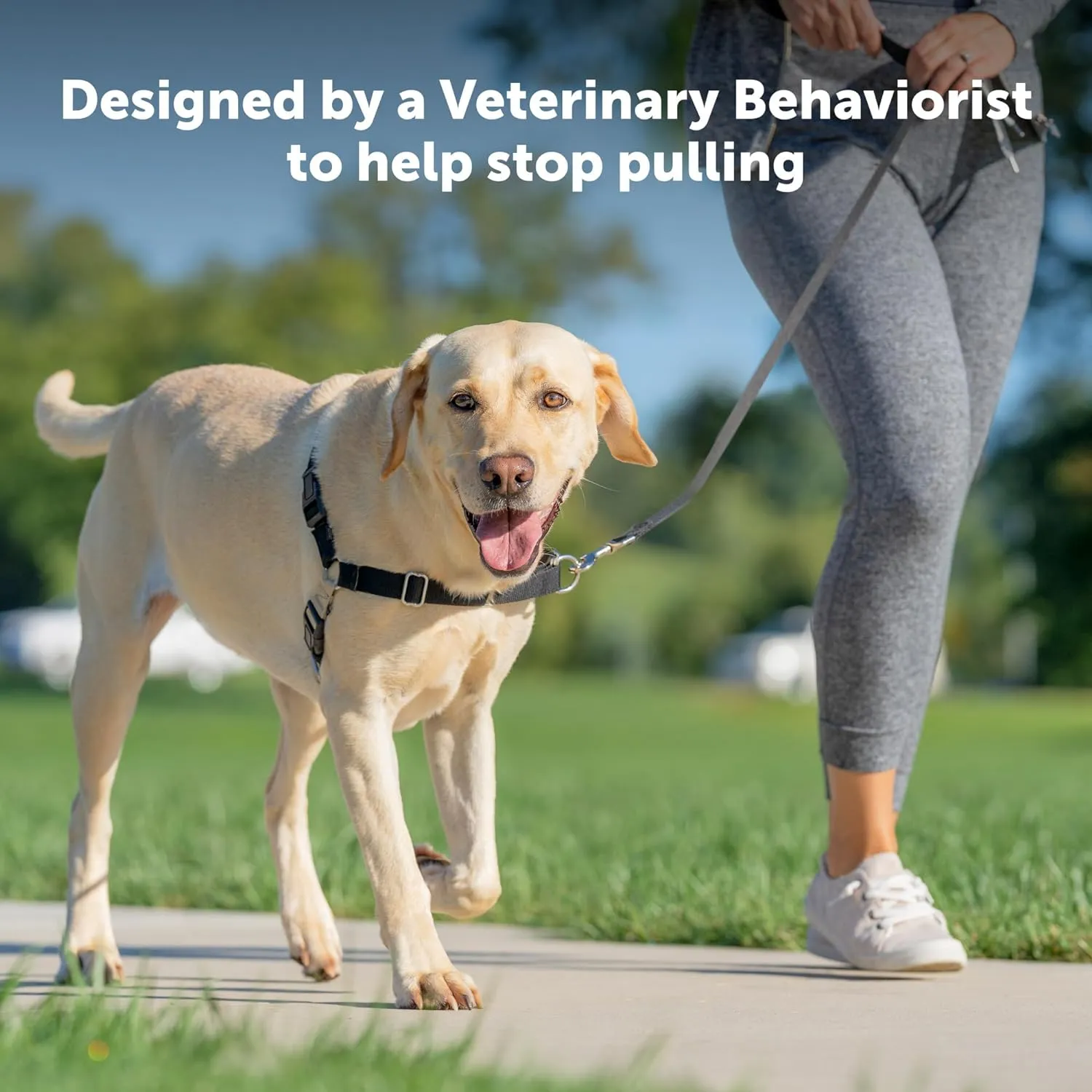 PetSafe Easy Walk No-Pull Dog Harness - The Ultimate Harness to Help Stop Pulling - Take Control & Teach Better Leash Manners - Helps Prevent Pets Pulling on Walks, Medium, Red/Black