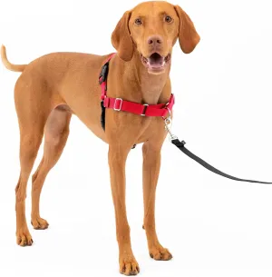 PetSafe Easy Walk No-Pull Dog Harness - The Ultimate Harness to Help Stop Pulling - Take Control & Teach Better Leash Manners - Helps Prevent Pets Pulling on Walks, Medium, Red/Black