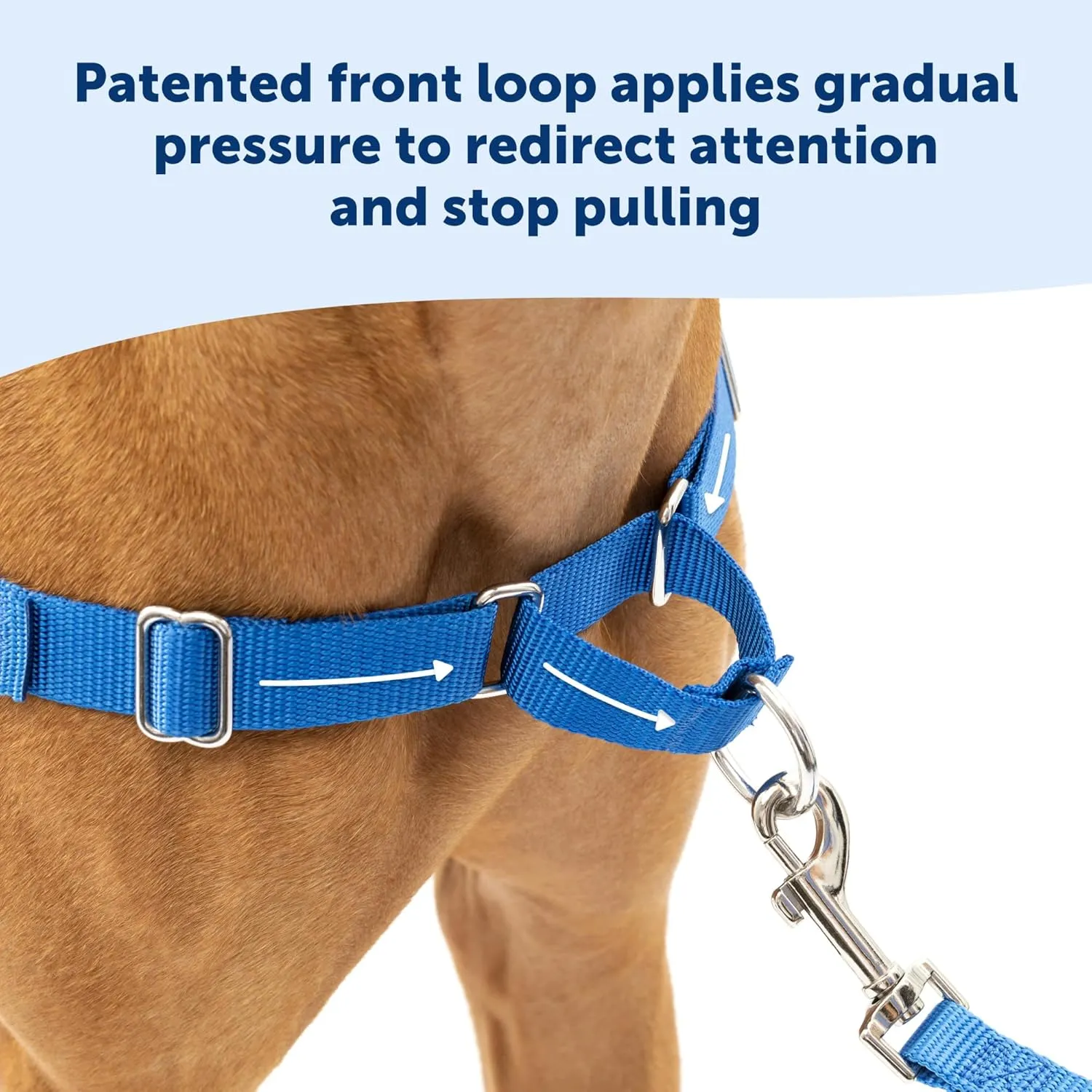 PetSafe Easy Walk No-Pull Dog Harness - The Ultimate Harness to Help Stop Pulling - Take Control & Teach Better Leash Manners - Helps Prevent Pets Pulling on Walks, Medium, Red/Black