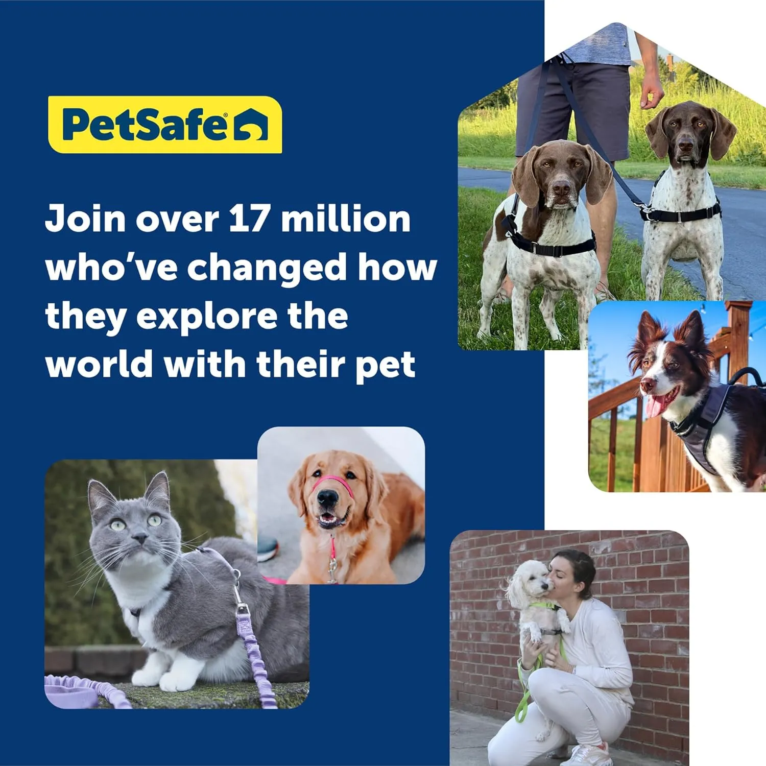 PetSafe Easy Walk No-Pull Dog Harness - The Ultimate Harness to Help Stop Pulling - Take Control & Teach Better Leash Manners - Helps Prevent Pets Pulling on Walks, Medium, Red/Black