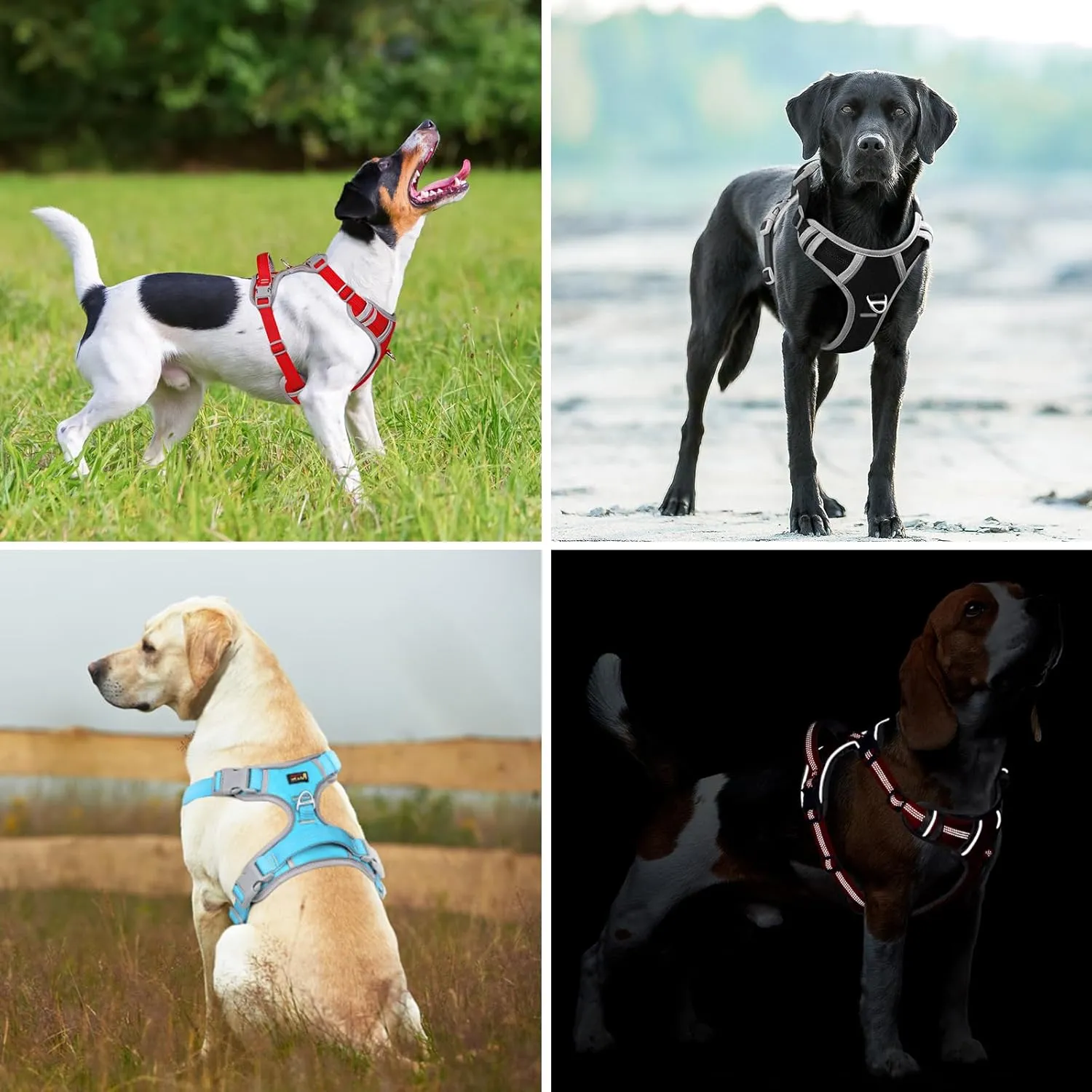 Plutus Pet No Pull Dog Harness, Release at Neck, Reflective Adjustable Dog Vest Harness, Easy Control Handle for Walking, for Small Medium Large Dogs, Orange, M
