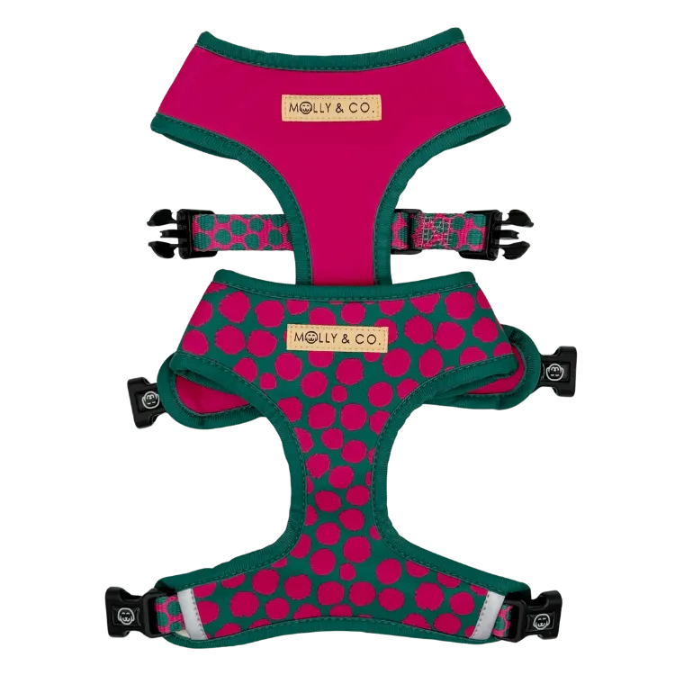 Polka Dogz - Reversible Dog Harness