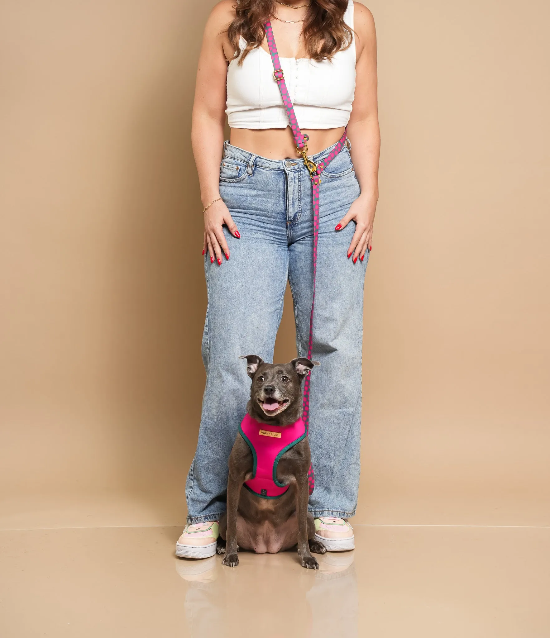 Polka Dogz - Reversible Dog Harness