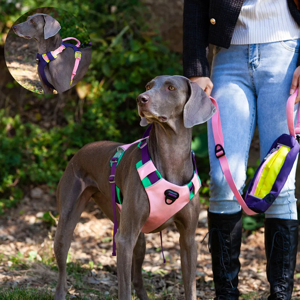 Premium Nylon Adjustable Breathable No Pull Dog Harness