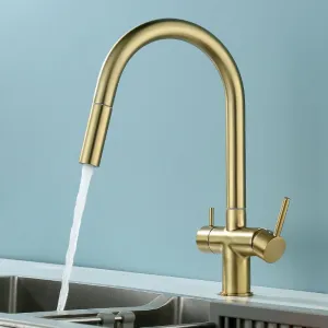 Pull-Out Kitchen Faucet hot and Cold Washing Basin Sink Three-in-one Dual-Control Water Purification Faucet, Big Bend Dual-Control Water Purification (Brushed Gold)