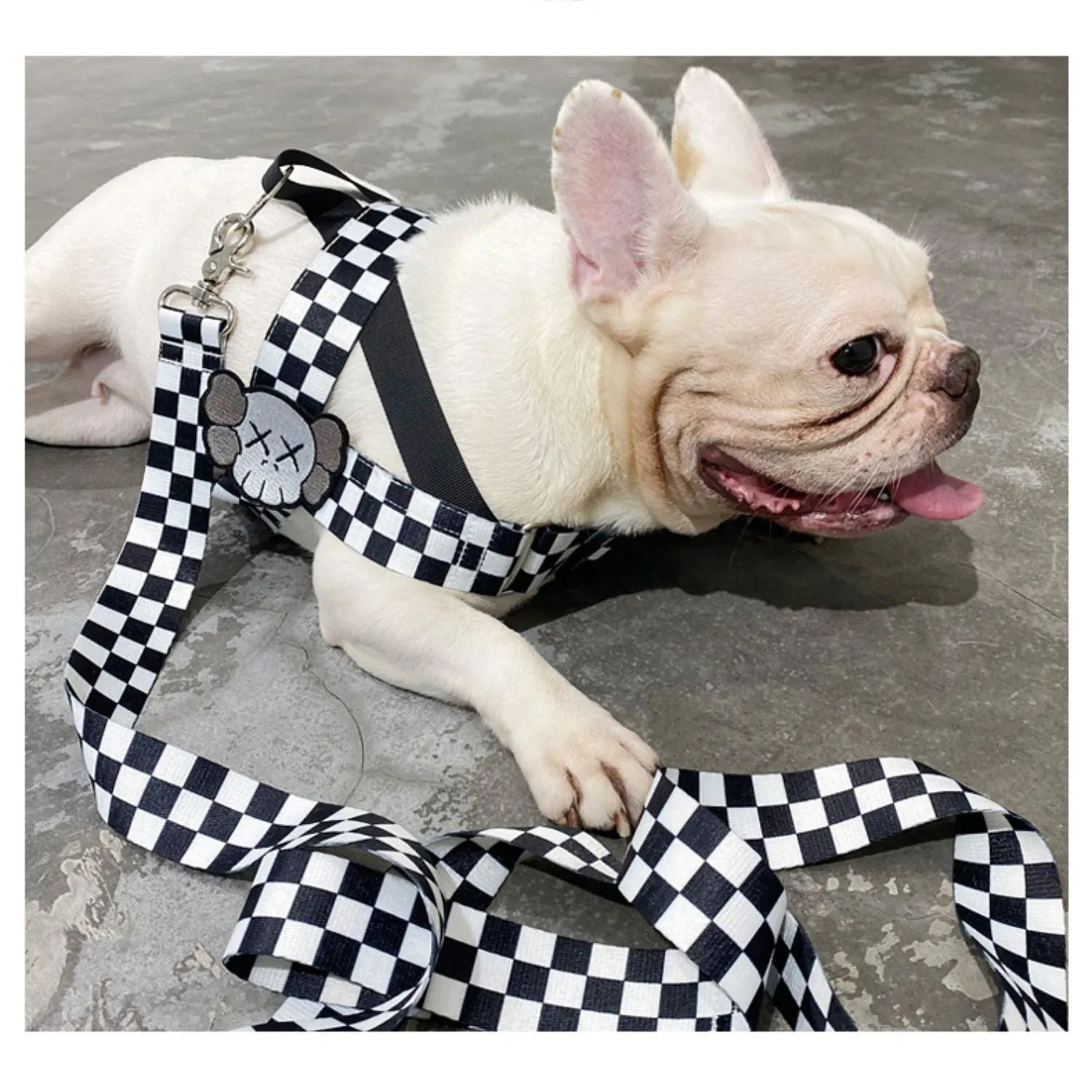 PupJoy Comfort Fit Frenchie Harness with Secure Buckles