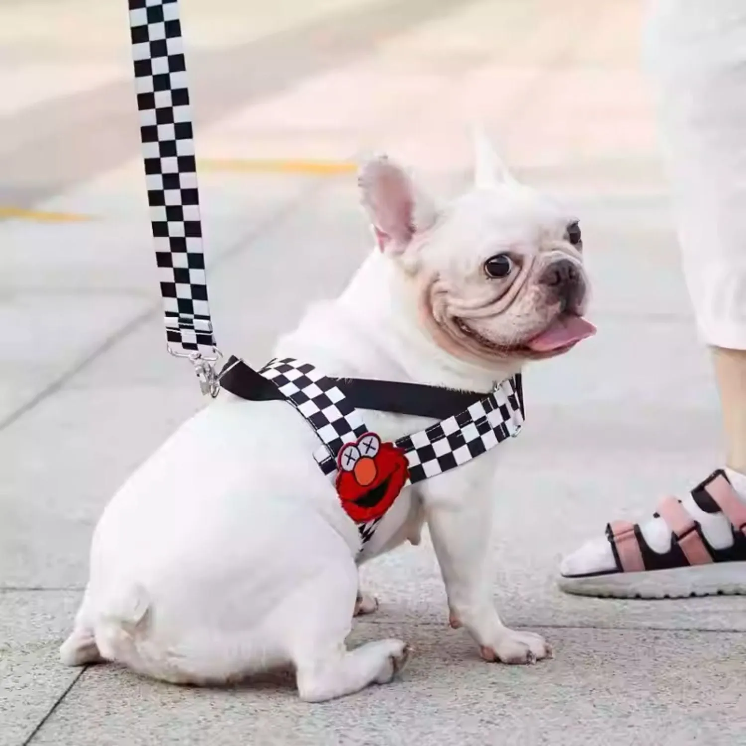 PupJoy Comfort Fit Frenchie Harness with Secure Buckles