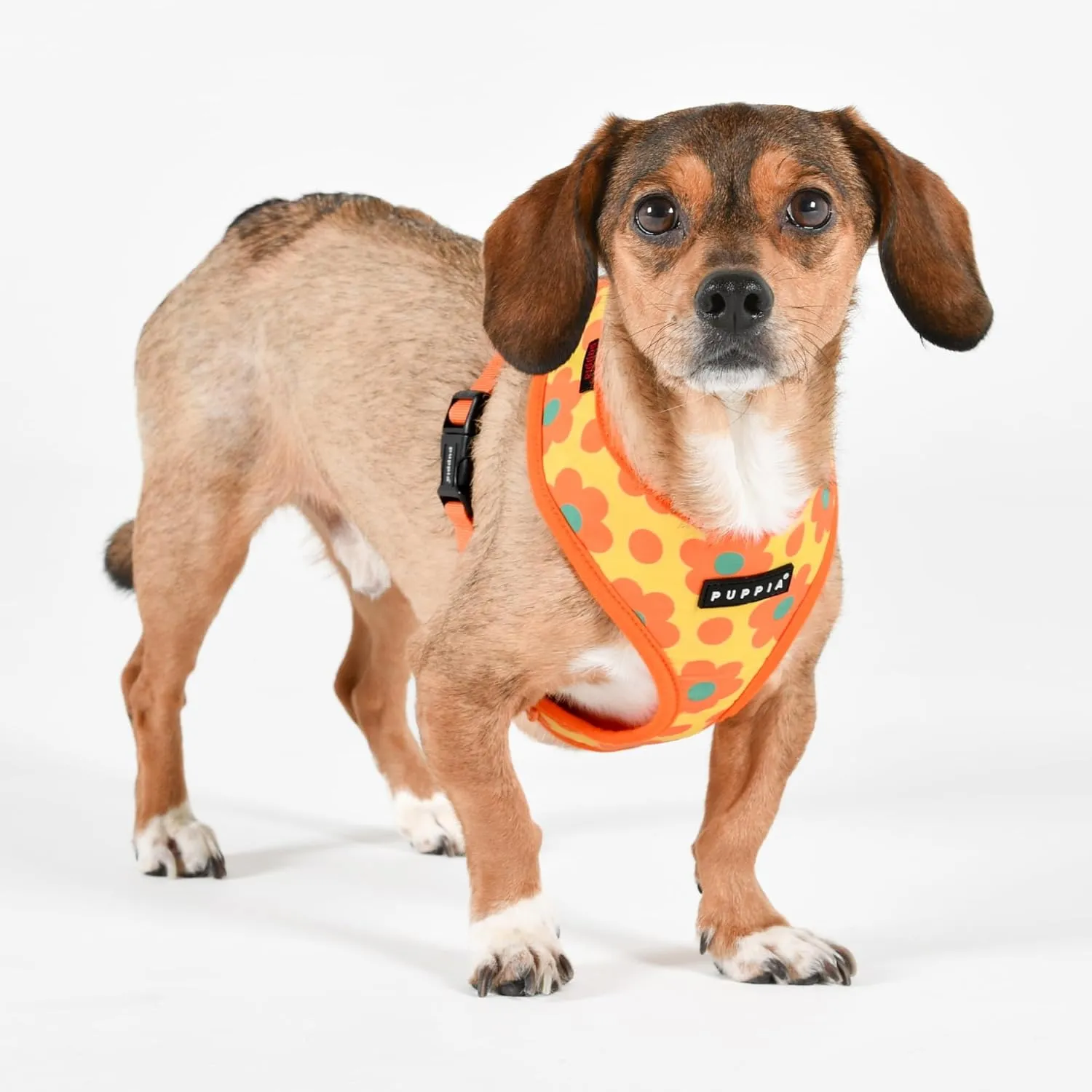 Puppia Bacopas Dog Harness A (Over-The-Head) Fashionable Flower Pattern Spring Summer Harness for Small and Medium Dogs, Orange, X-Large