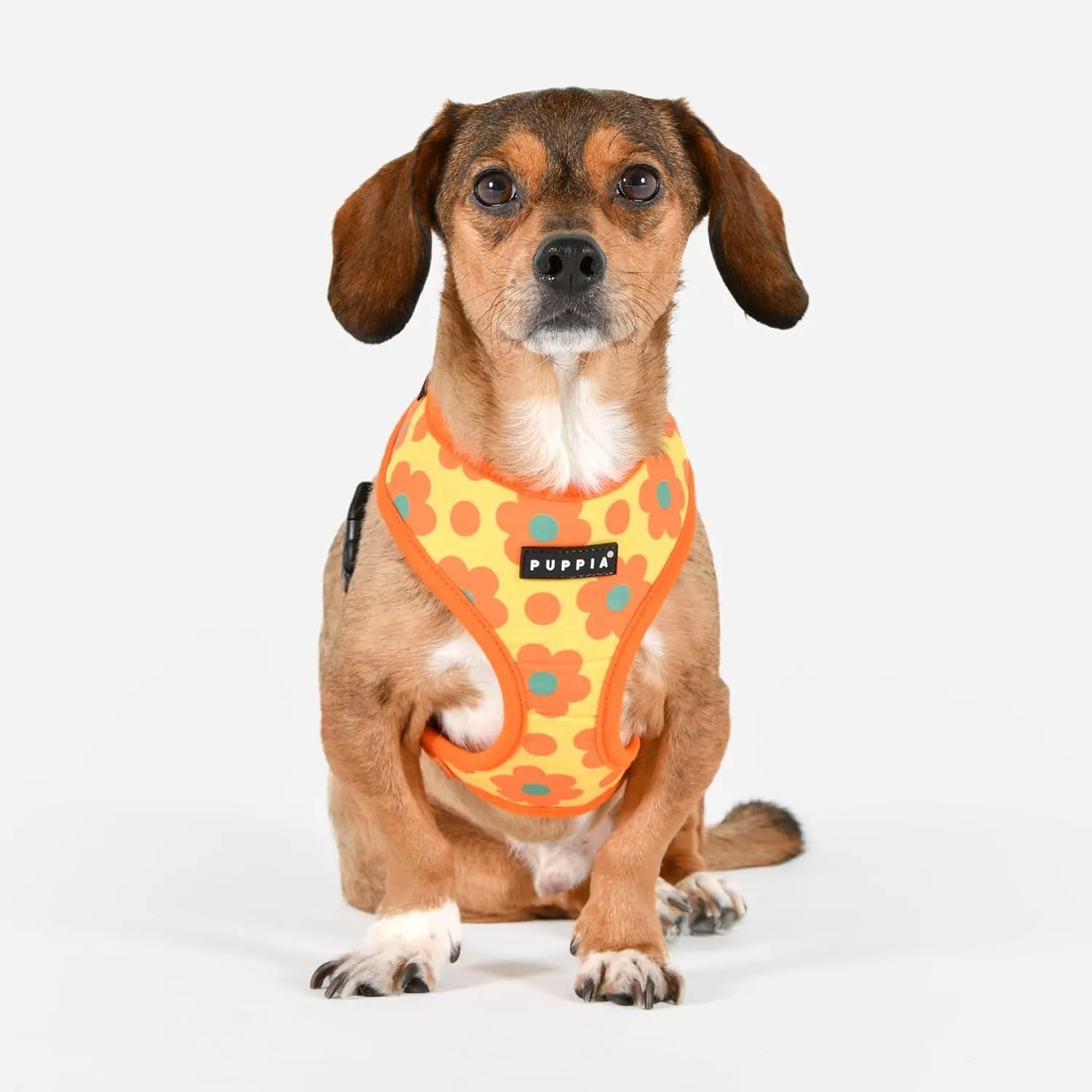 Puppia Bacopas Dog Harness A (Over-The-Head) Fashionable Flower Pattern Spring Summer Harness for Small and Medium Dogs, Orange, X-Large