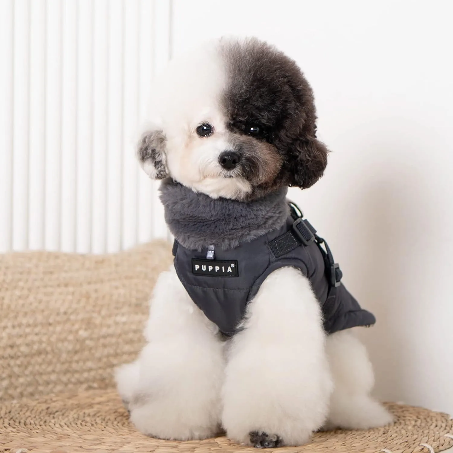 Puppia Donavan Winter Dog Coat with Integrated Harness No Pull Cold Weather Waterproof Warm Fleece Back Zipper for Small & Medium Dog, Grey, Large