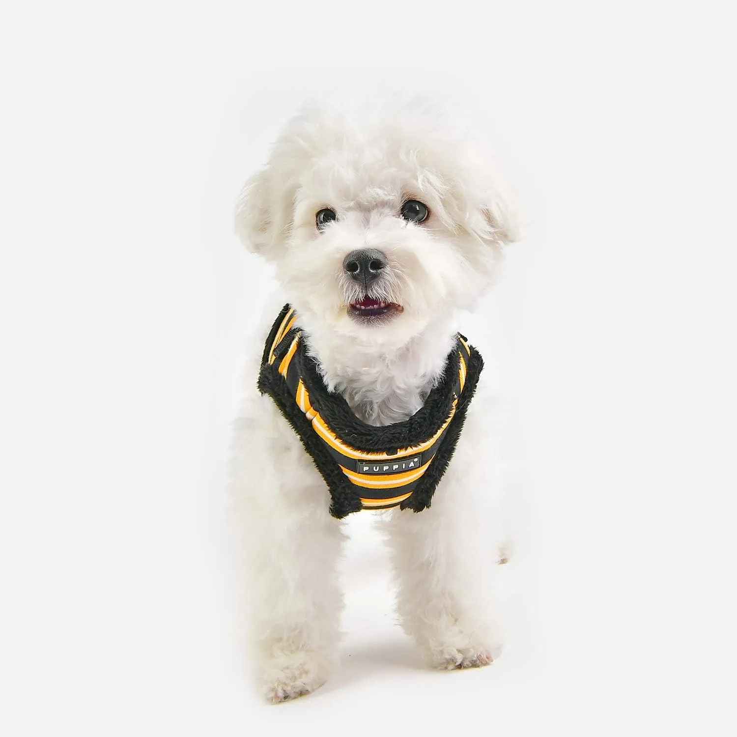 Puppia Rowdy Harness B - Black - M