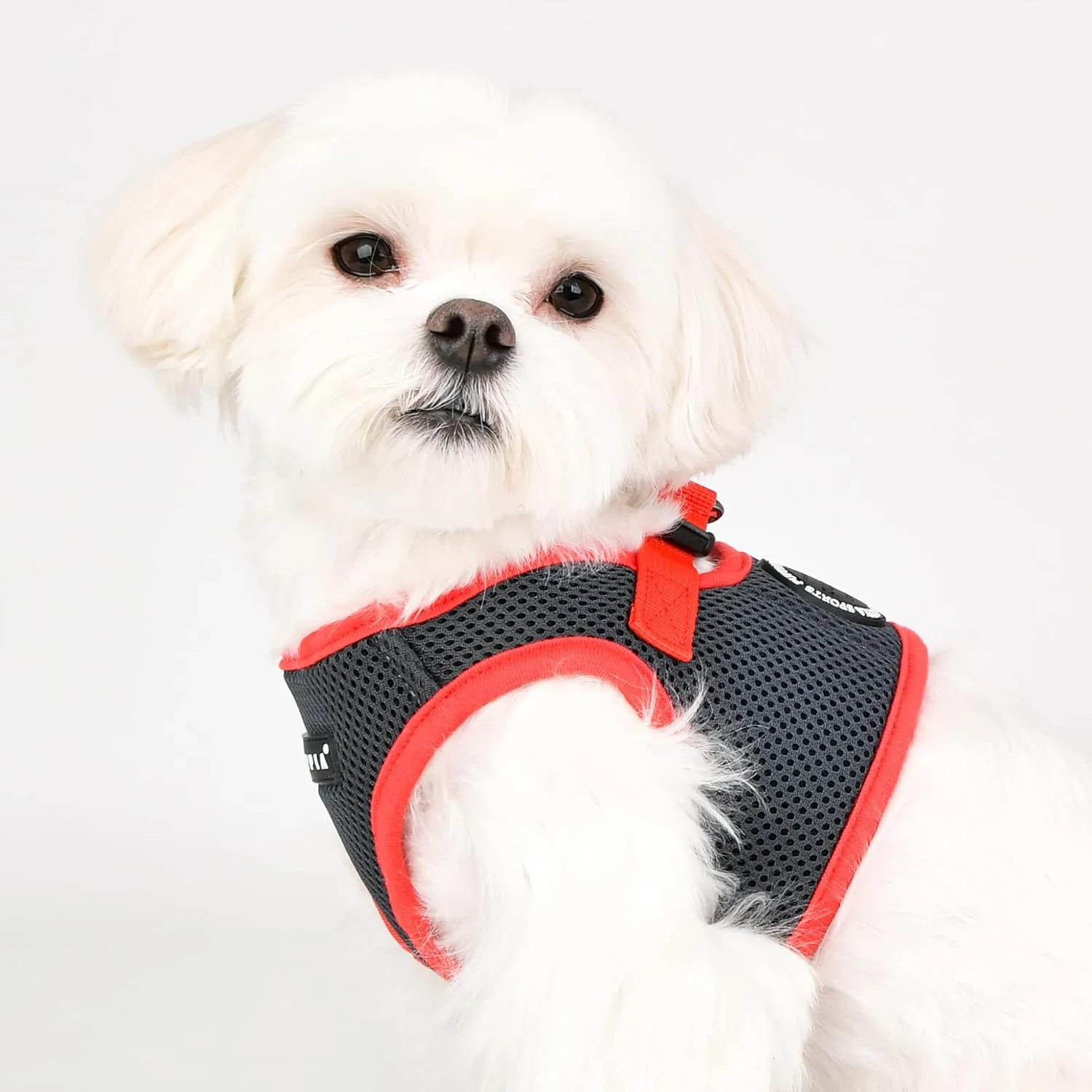 Puppia Soft Vest Dog Harness II Mesh Step-in All Season No Pull No Choke Walking Training for Small & Medium Dog - Grey - XL