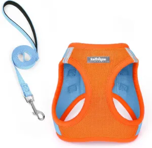 rabbitgoo Dog Harness Medium Sized and Leash Set, Step in Soft Light Puppy Vest, Breathable Mesh Pet Harness, Reflective for Safe Easy Walking, Blue & Orange XXL