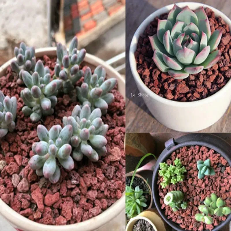 Red Volcanic Rock Succulent Plant Planting Bedding Granular Fish Tank Water Purification Materials