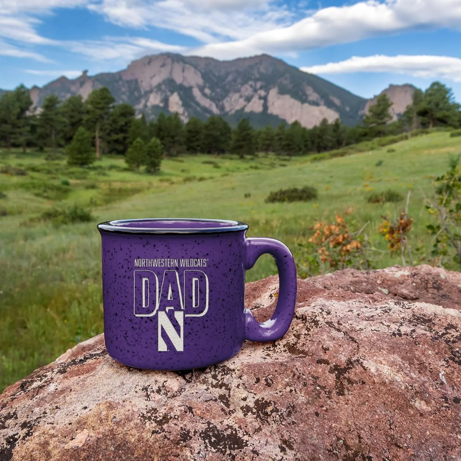 Rico Industries NCAA Dad 12oz Laser Engraved Campfire Mug