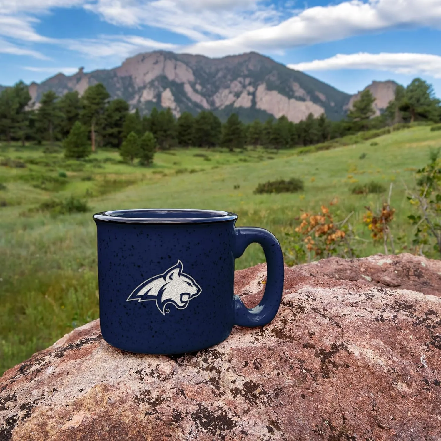 Rico Industries NCAA unisex-adult NCAA Speckle 15oz Laser Engraved Campfire Hot/Cold Mug