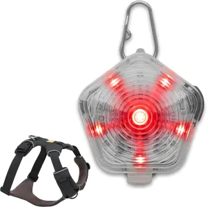 Ruffwear, Front Range Dog Harness & Beacon Light Bundle – No Pull Dog Harness with Rechargeable Light for Collar, Night Walking & Hiking, Adjustable Padded Vest, Basalt Gray, Medium
