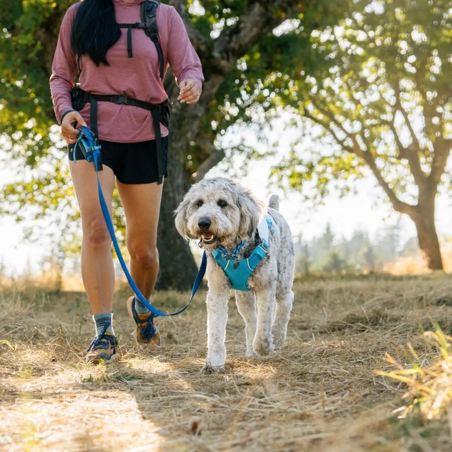 Ruffwear, Swamp Cooler Dog Harness, Lightweight with Evaporative Cooling for Hot Weather, Biolumin Blue, Medium