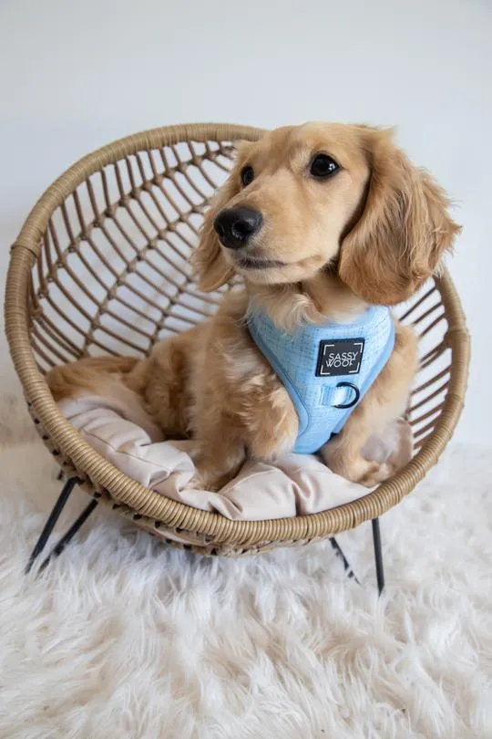 Sassy Woof Adjustable Harness - Blumond