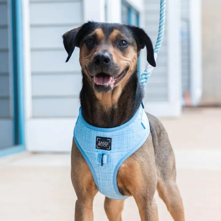 Sassy Woof Adjustable Harness - Blumond