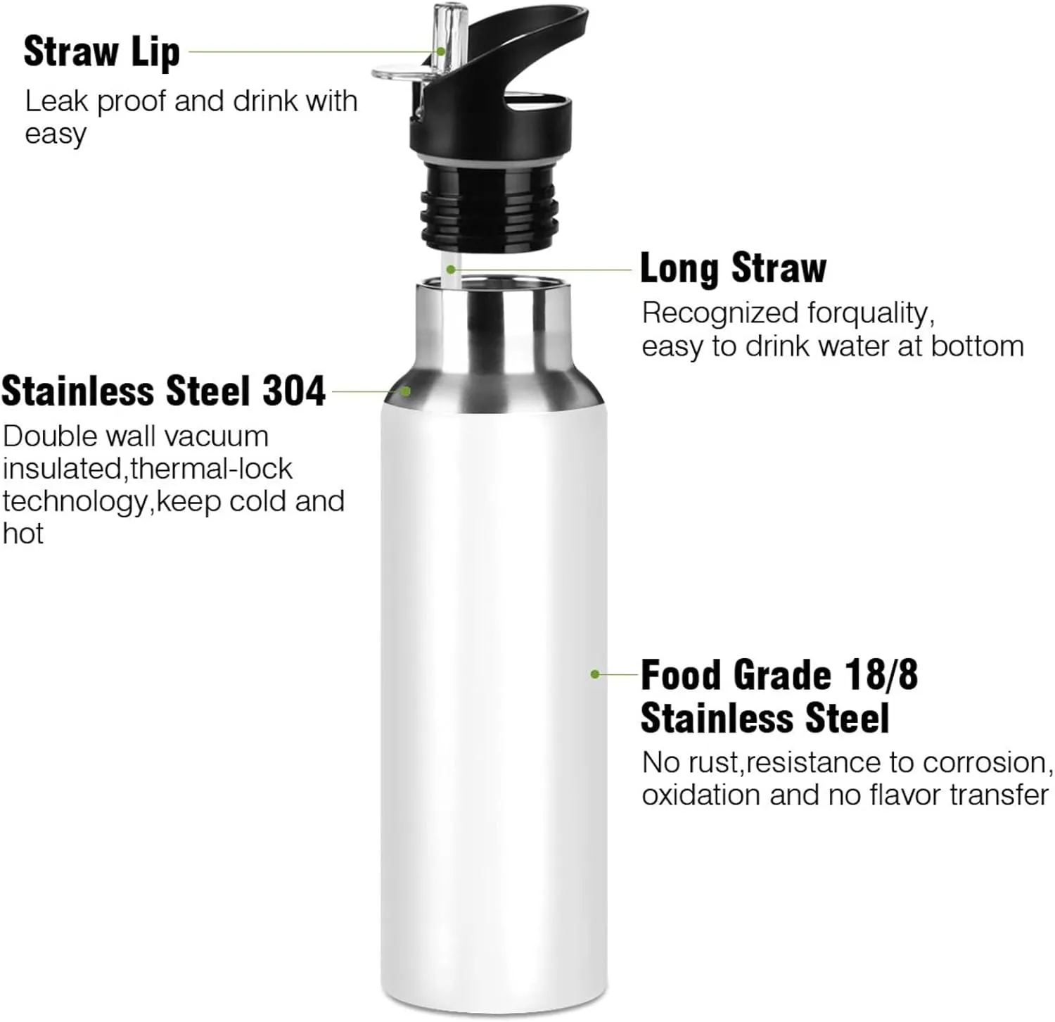 senya 20 Oz Water Bottle with Straw Animals Alpaca Llama Sloth Dinosaur Stainless Steel Water Bottle for Traveling Sports Leakproof Insulated